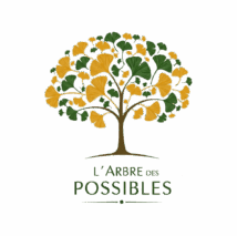 logo trans